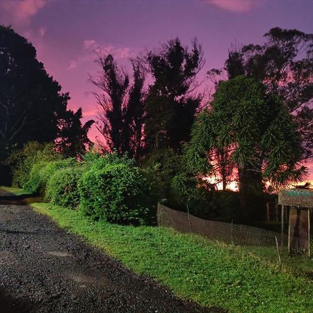 Natures Retreat Hotels And Resorts Ooty Dış mekan fotoğraf