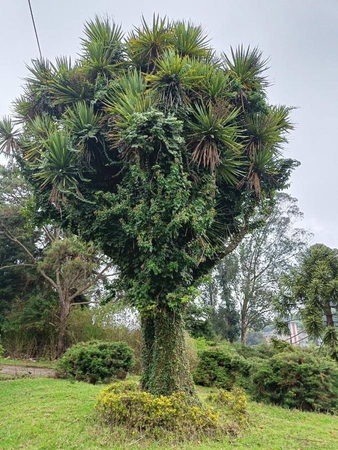 Natures Retreat Hotels And Resorts Ooty Dış mekan fotoğraf