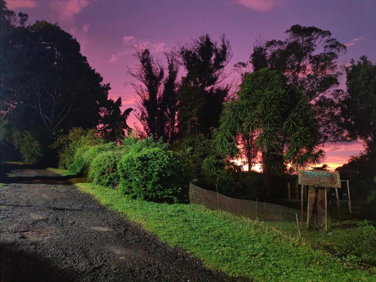 Natures Retreat Hotels And Resorts Ooty Dış mekan fotoğraf